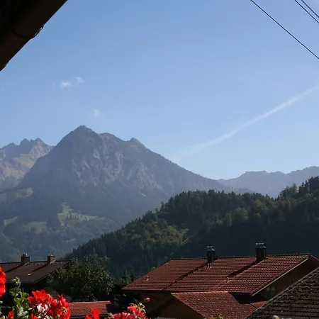 Ferienhaus Berg & Tal Hornerbergbahnen Kostenlos Holiday home